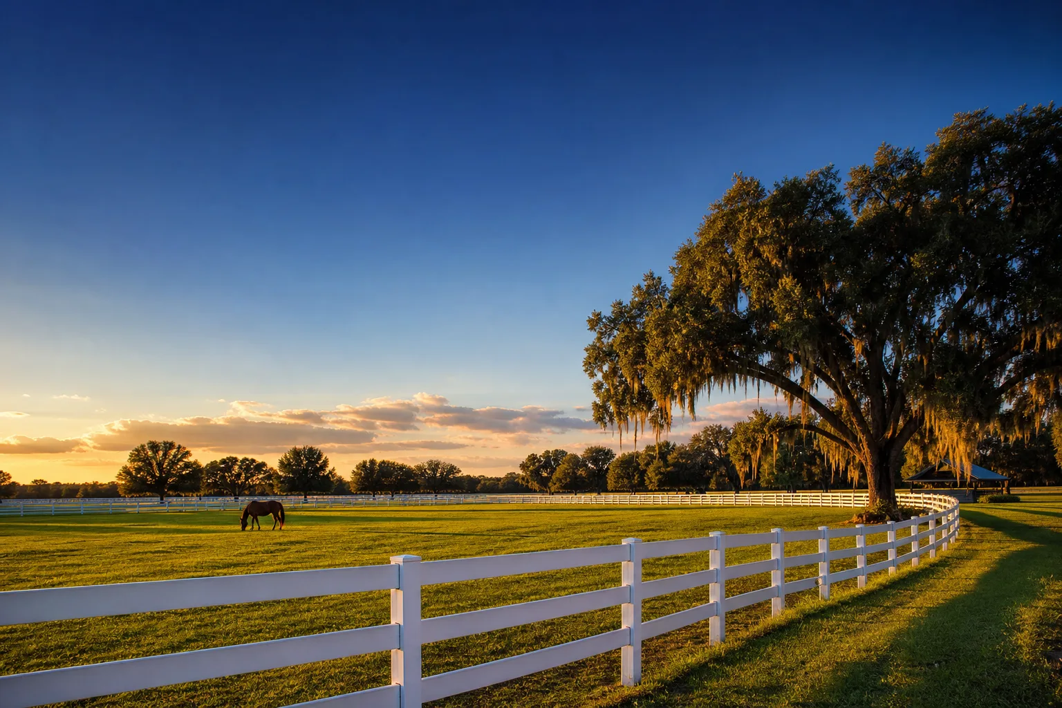 Ocala horse country pastures and oak trees at golden hour