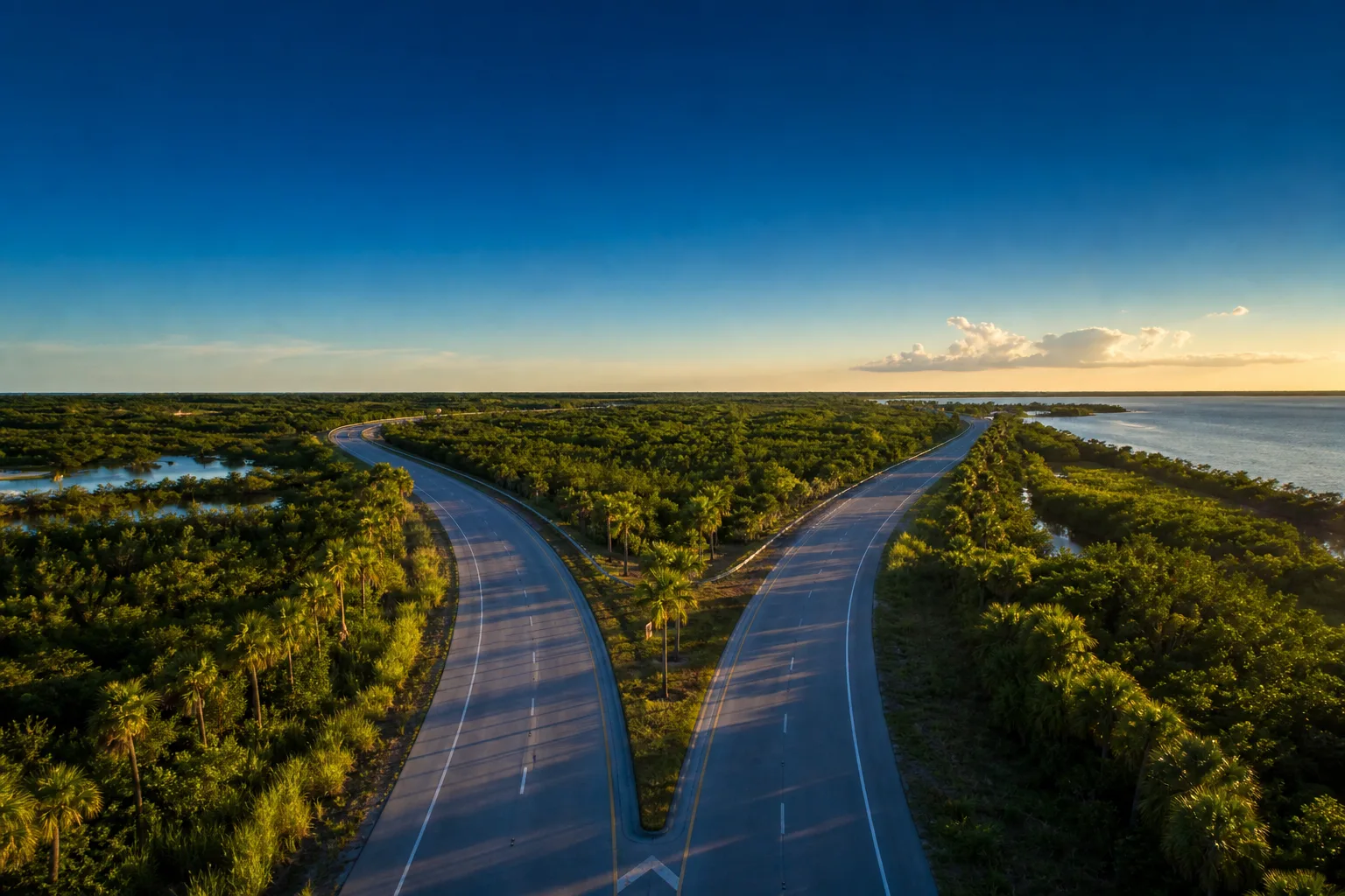 A Florida highway forking into two roads